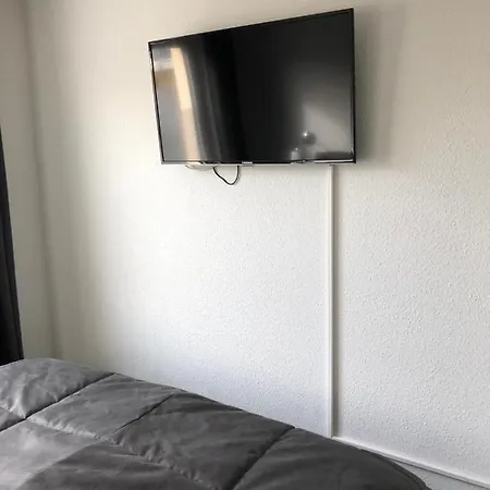 Meerhund In Graal-mueritz *